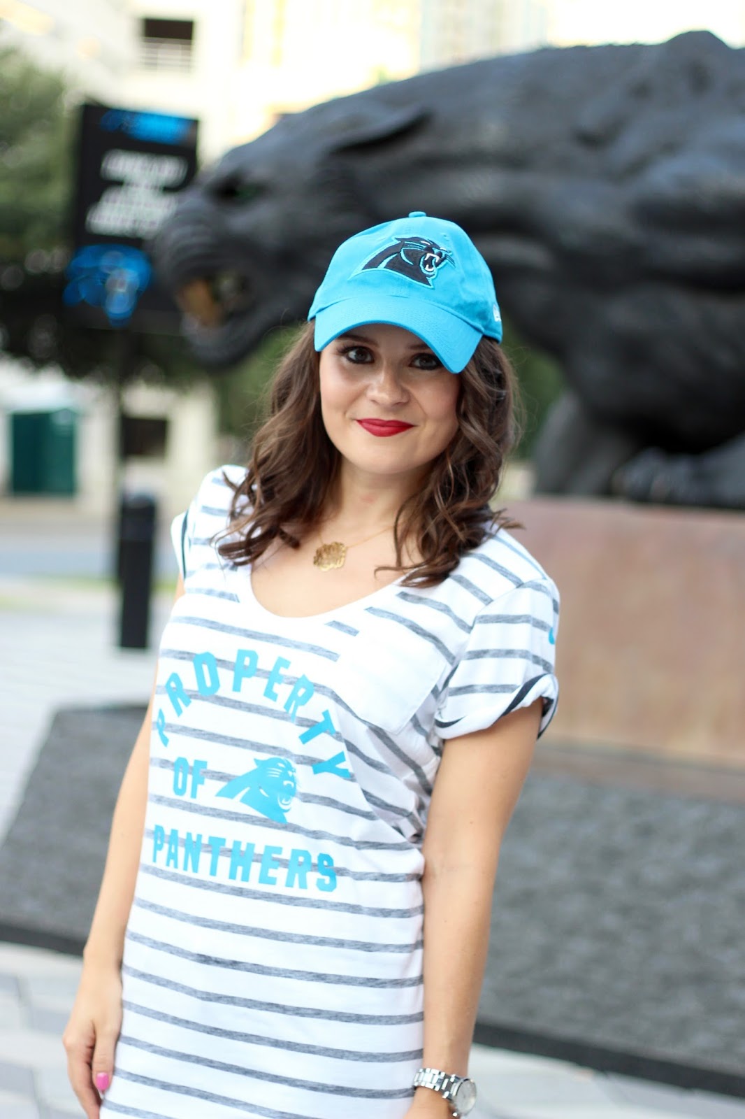 NFL Fan Style Carolina Panthers