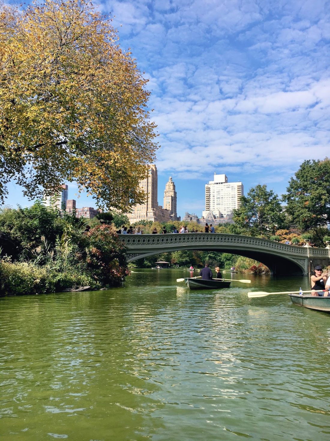 central park row boats