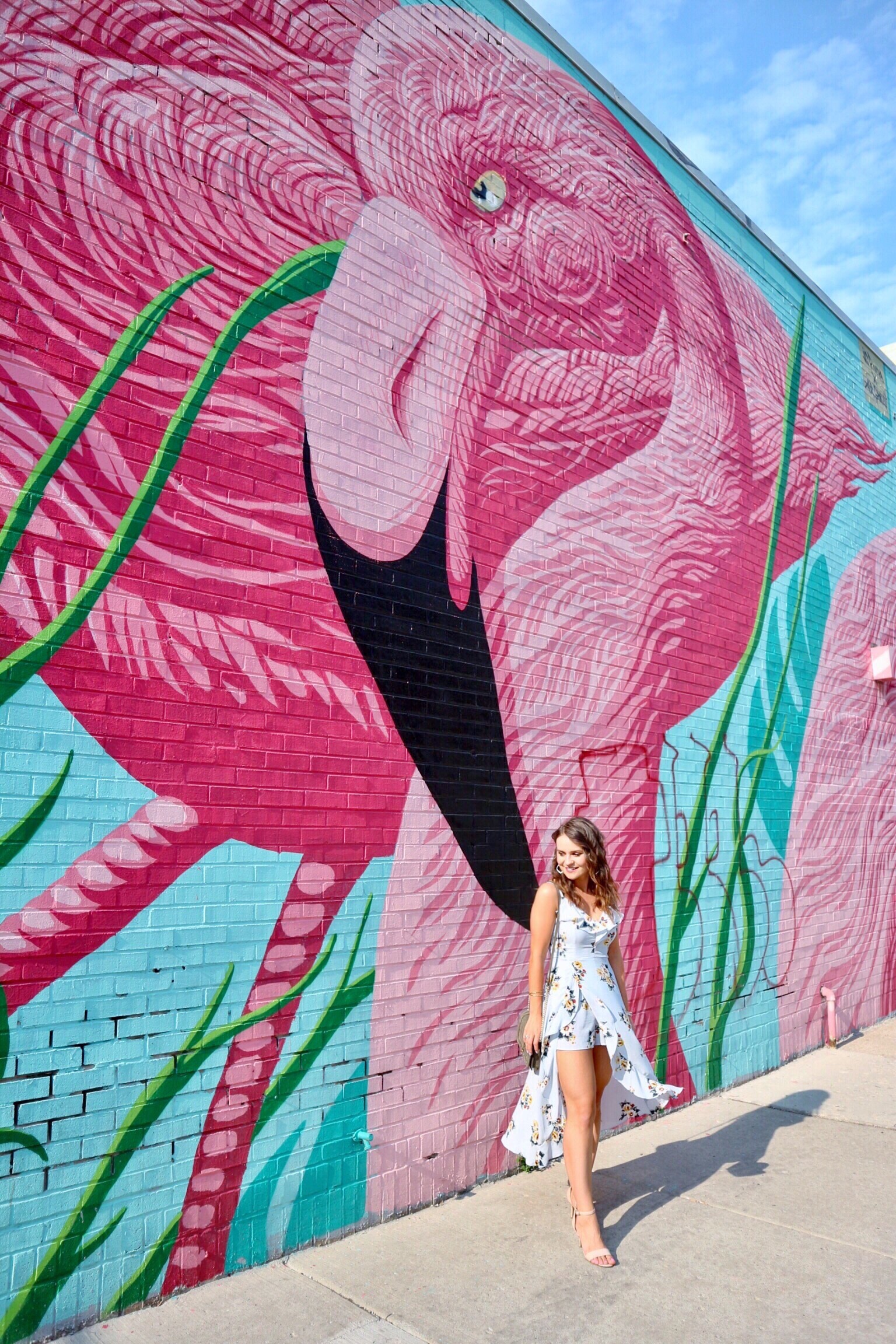 chicago flamingo wall