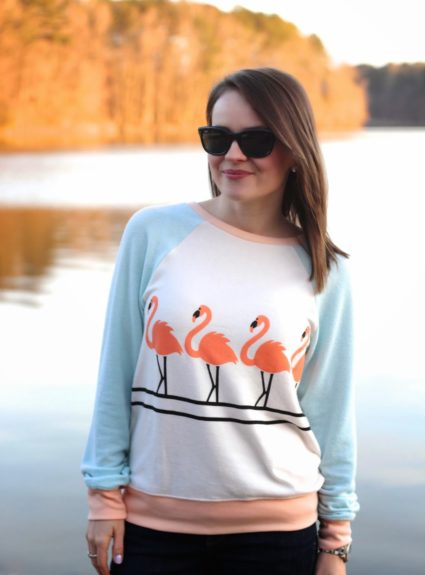 Pastel Flamingos