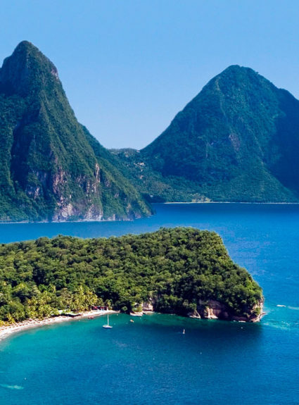 Honeymoons, Wedding Dresses, & Bee Stings