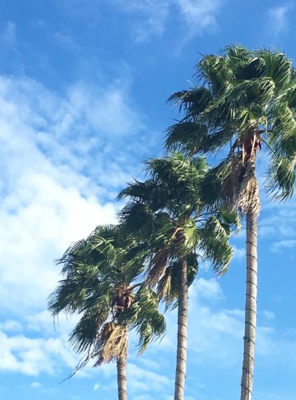 Weekend in Naples