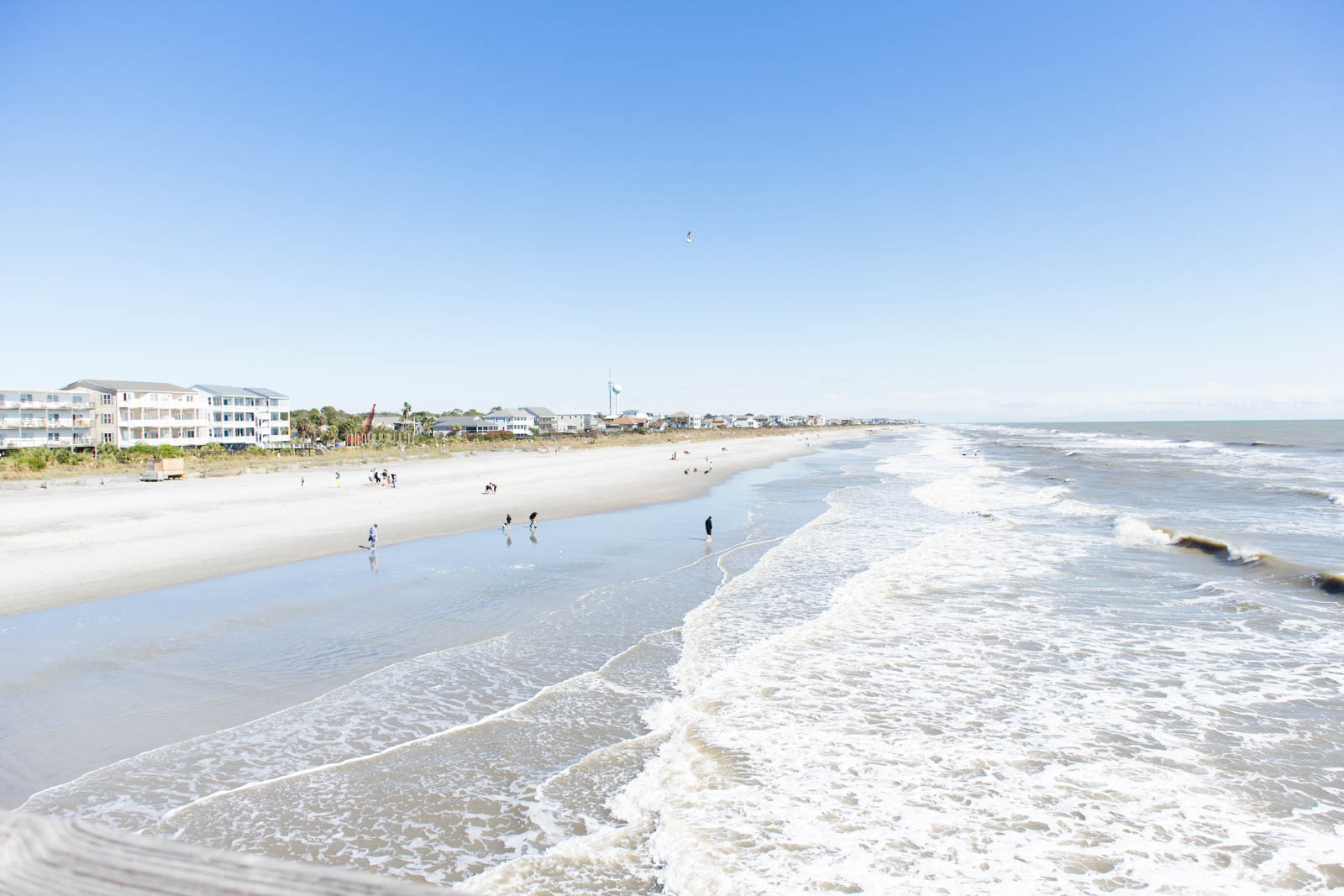 folly beach charleston